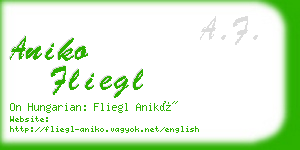 aniko fliegl business card